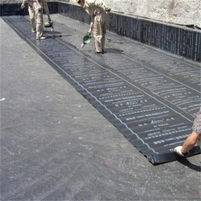 ��ɽ������